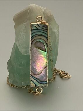 Gold Filled Chain Necklace with Spring Ring Clasp ,Abalone Pendant.